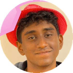 Sanjay R.